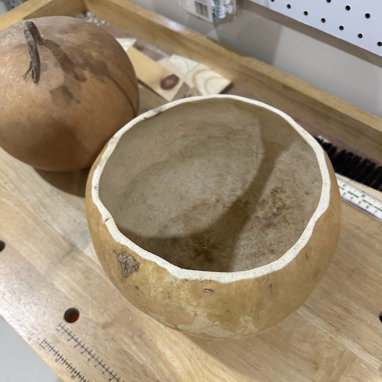 Cleaned out gourd